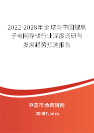 2022-2028年全球与中国锂离子电网存储行业深度调研与发展趋势预测报告