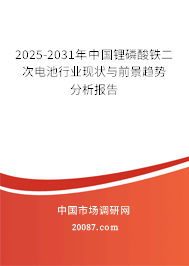 2025-2031年中国锂磷酸铁二次电池行业现状与前景趋势分析报告
