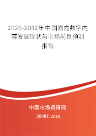 2026-2032年中国面向数字内容发展现状与市场前景预测报告