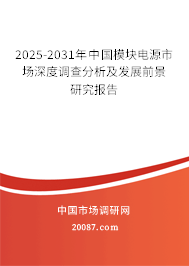 2025-2031年中国模块电源市场深度调查分析及发展前景研究报告