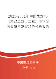 2025-2031年中国尼龙46（聚己二酰丁二胺）市场全面调研与发展趋势分析报告