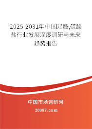 2025-2031年中国羟胺,硫酸盐行业发展深度调研与未来趋势报告