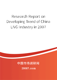 Research Report on Developing Trend of China LNG Industry in 2007 Research Report on Developing Trend of China LNG Industry in 2007