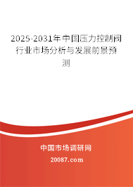 2025-2031年中国压力控制阀行业市场分析与发展前景预测