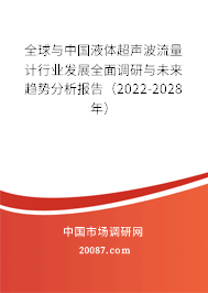 全球与中国液体超声波流量计行业发展全面调研与未来趋势分析报告（2022-2028年）