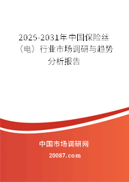 2025-2031年中国保险丝（电）行业市场调研与趋势分析报告