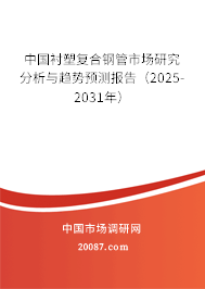 中国衬塑复合钢管市场研究分析与趋势预测报告（2025-2031年）