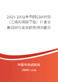 2025-2031年中国EBA树脂（乙烯丙烯酸丁酯）行业全面调研与发展趋势预测报告