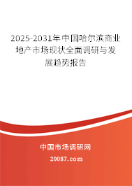 2025-2031年中国哈尔滨商业地产市场现状全面调研与发展趋势报告 2025-2031年中国哈尔滨商业地产市场现状全面调研与发展趋势报告