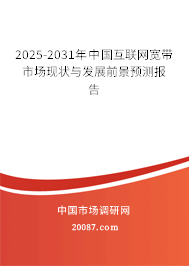 2025-2031年中国互联网宽带市场现状与发展前景预测报告 2025-2031年中国互联网宽带市场现状与发展前景预测报告