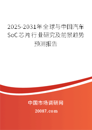 2025-2031年全球与中国汽车SoC芯片行业研究及前景趋势预测报告
