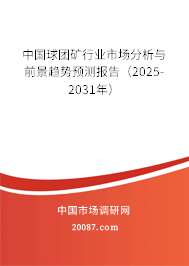 中国球团矿行业市场分析与前景趋势预测报告（2025-2031年）