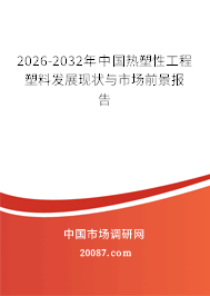 2026-2032年中国热塑性工程塑料发展现状与市场前景报告 2026-2032年中国热塑性工程塑料发展现状与市场前景报告