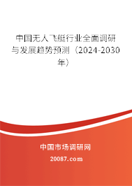 中国无人飞艇行业全面调研与发展趋势预测（2024-2030年）