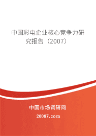 中国彩电企业核心竞争力研究报告(2007) 中国彩电企业核心竞争力研究报告(2007)