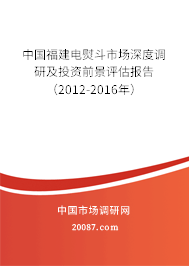 中国福建电熨斗市场深度调研及投资前景评估报告（2012-2016年）