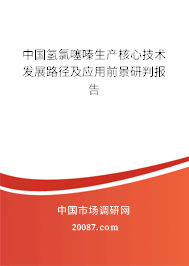 中国氢氯噻嗪生产核心技术发展路径及应用前景研判报告