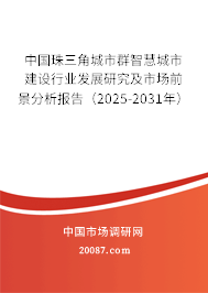 中国珠三角城市群智慧城市建设行业发展研究及市场前景分析报告（2025-2031年）