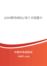 2009搜狗网站/媒介测量报告