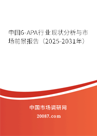 中国6-APA行业现状分析与市场前景报告(2025-2031年) 中国6-APA行业现状分析与市场前景报告(2025-2031年)