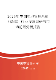 2025年中国电池管理系统（BMS）行业发展调研与市场前景分析报告