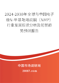 2024-2030年全球与中国电子级N-甲基吡咯烷酮(NMP)行业发展现状分析及前景趋势预测报告 2024-2030年全球与中国电子级N-甲基吡咯烷酮(NMP)行业发展现状分析及前景趋势预测报告