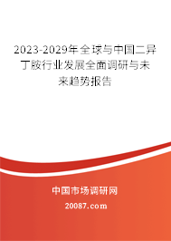 2023-2029年全球与中国二异丁胺行业发展全面调研与未来趋势报告
