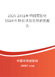 2025-2031年中国官能化SSBR市场现状及前景趋势报告