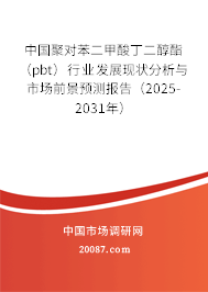 中国聚对苯二甲酸丁二醇酯（pbt）行业发展现状分析与市场前景预测报告（2025-2031年）