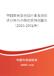 中国聚合氯化铝行业发展现状分析与市场前景预测报告（2025-2031年）