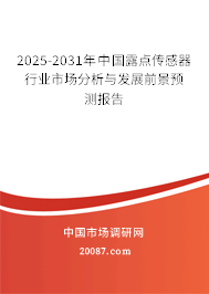 2025-2031年中国露点传感器行业市场分析与发展前景预测报告