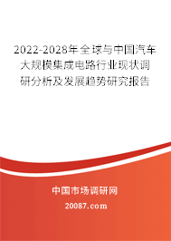 2022-2028年全球与中国汽车大规模集成电路行业现状调研分析及发展趋势研究报告