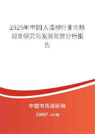 2025年中国人造棉行业市场调查研究与发展前景分析报告