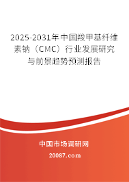 2025-2031年中国羧甲基纤维素钠(CMC)行业发展研究与前景趋势预测报告 2025-2031年中国羧甲基纤维素钠(CMC)行业发展研究与前景趋势预测报告