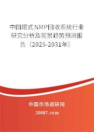 中国塔式NMP回收系统行业研究分析及前景趋势预测报告(2025-2031年) 中国塔式NMP回收系统行业研究分析及前景趋势预测报告(2025-2031年)