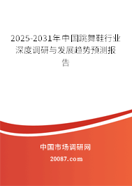 2025-2031年中国跳舞鞋行业深度调研与发展趋势预测报告