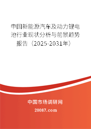 中国新能源汽车及动力锂电池行业现状分析与前景趋势报告（2025-2031年）