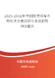 2025-2031年中国智慧停车市场现状全面调研与发展趋势预测报告
