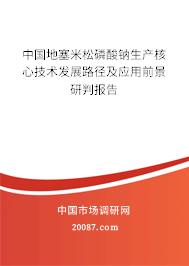 中国地塞米松磷酸钠生产核心技术发展路径及应用前景研判报告