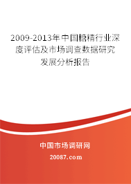 2009-2013年中国糖精行业深度评估及市场调查数据研究发展分析报告