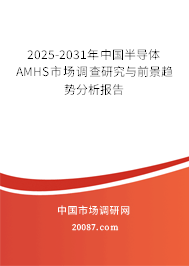 2025-2031年中国半导体AMHS市场调查研究与前景趋势分析报告