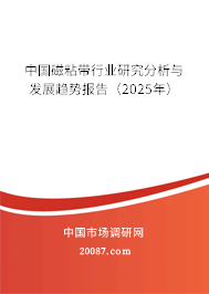 中国磁粘带行业研究分析与发展趋势报告（2025年）