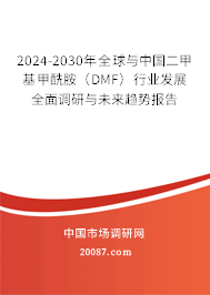 2024-2030年全球与中国二甲基甲酰胺（DMF）行业发展全面调研与未来趋势报告
