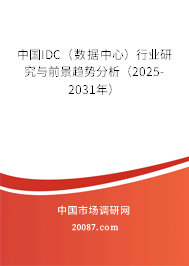 中国IDC（数据中心）行业研究与前景趋势分析（2025-2031年）