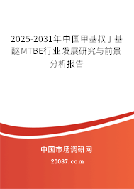 2025-2031年中国甲基叔丁基醚MTBE行业发展研究与前景分析报告