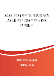 2025-2031年中国拣选模块系统行业市场调研与前景趋势预测报告
