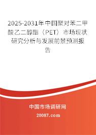 2025-2031年中国聚对苯二甲酸乙二醇酯（PET）市场现状研究分析与发展前景预测报告