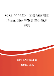 2023-2029年中国聚醚醚酮市场全面调研与发展趋势预测报告