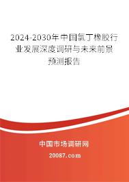 2024-2030年中国氯丁橡胶行业发展深度调研与未来前景预测报告 2024-2030年中国氯丁橡胶行业发展深度调研与未来前景预测报告