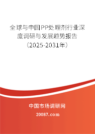 全球与中国PP处理剂行业深度调研与发展趋势报告（2025-2031年）